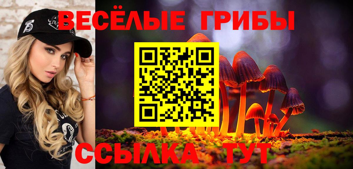 сколько стоит  Вход с VPN  Юрга  Галлюциногенные грибы прущие грибы 